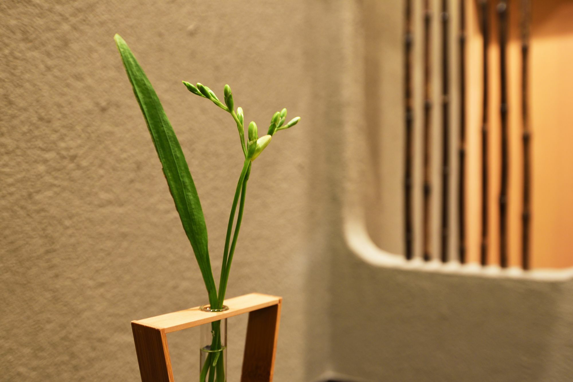 Ryokan Hanare 大阪 外观 照片